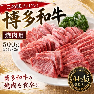 この味プレミアム!【A4～A5】博多和牛焼肉用　500g(250g×2p)(豊前市)
