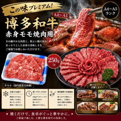 この味プレミアム!【A4～A5】博多和牛赤身モモ焼肉用　250g/p(豊前市)