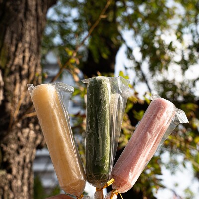 福岡自慢の特産品を詰め込んだアイスキャンディー　3種10本(豊前市)