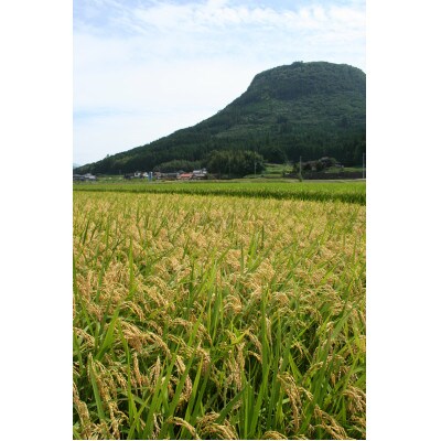 令和4年産玖珠米「ひとめぼれ」2kgと玖珠町産「炭酸水」セット