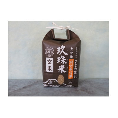 玖珠米ひとめぼれ2kgと玄米2kgセット