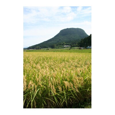 新米令和4年産玖珠米「ひとめぼれ」2kg