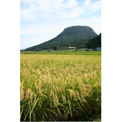 玖珠米「ひとめぼれ」玄米15kg(15kg×1袋)