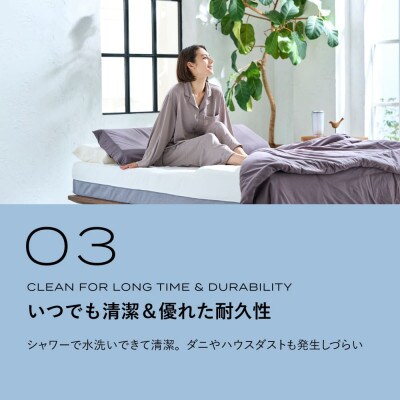 ブレインスリープ マットレス プレミアム フロート セミダブル  