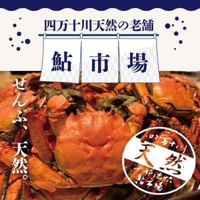 高級天然食材!四万十川の天然ツガニ 約700g～800g(4～6匹) 26