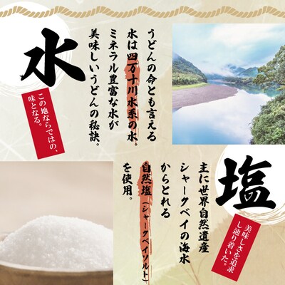四万十青のりうどんとおいしいうどんのセット(計4食分・うどんつゆ付) R5-055