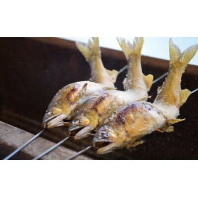 四万十川の恵みをご家庭で!四万十川天然鮎セット(塩焼き4~5パック+天然冷凍鮎4~8匹)