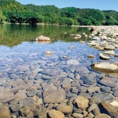 四万十川観光遊覧船乗船券【1名分】26-118