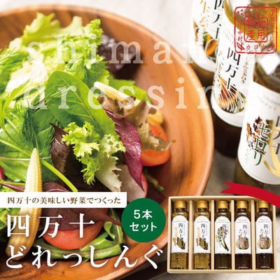 四万十どれっしんぐ5本セット 