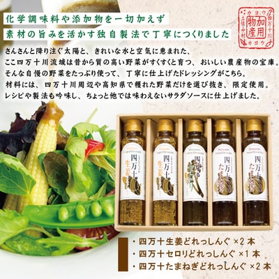 四万十どれっしんぐ5本セット 