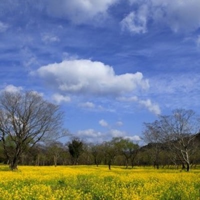 四万十黒潮旅館組合　 宿泊補助券　5枚(5,000円分) 26-120