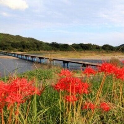 四万十黒潮旅館組合　宿泊補助券　10枚(10,000円分) 26-127