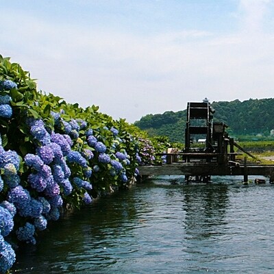 四万十市おもてなしタクシー(1)「四万十川満喫コース」2時間 26-956