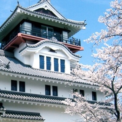 四万十市おもてなしタクシー(2)「小京都中村を散策コース」2時間 26-957