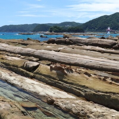 おもてなしタクシー(6)「竜串コース」3.5時間 R5-961