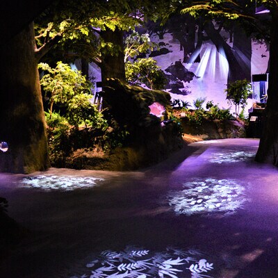 おもてなしタクシー(6)「竜串コース」3.5時間 26-961