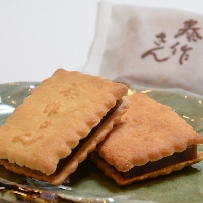 藤家さんのおすすめ銘菓詰合せ (泰作さん 一條公 四万十川 焼鮎もなか) 25-196