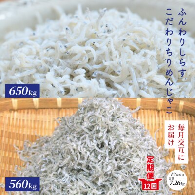 【12回定期便】土佐黒潮ふんわりしらす650g・こだわりちりめんじゃこ560g 25