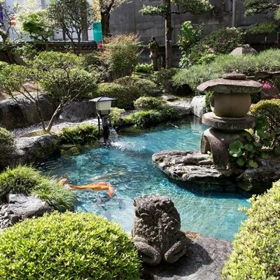 老舗料亭吾妻「天然うなぎのうな重」お食事券1名様分 26-674