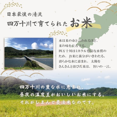 【令和7年産】おいしい・あんしん・しまんとのお米　しまんと農法米　ヒノヒカリ10kg(5kg×2袋)