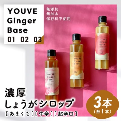 生姜好きさんにオススメ!濃厚・しょうがシロップ3種セット【あまくち・中辛・超辛口】25-759