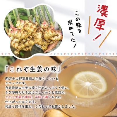 生姜好きさんにオススメ!濃厚しょうがシロップ2本セット【超辛口