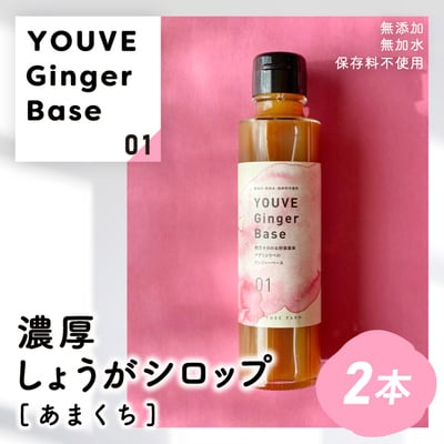 生姜好きさんにオススメ!濃厚しょうがシロップ2本セット【あまくち】R5-756