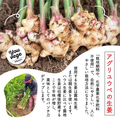 生姜好きさんにオススメ!濃厚しょうがシロップ2本セット【中辛】R5-757