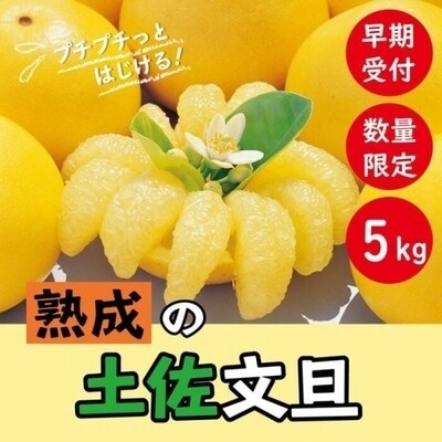 【早期受付・数量限定】熟成の土佐文旦5kg【家庭用】【2023年3月上旬より発送】