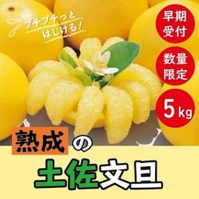 【早期受付・数量限定】熟成の土佐文旦5kg【家庭用】【2023年3月上旬より発送】