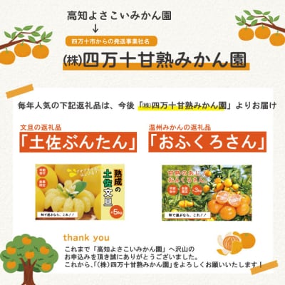 【早期受付・数量限定】熟成の土佐文旦5kg【家庭用】【2026年2月下旬より発送】R7-551