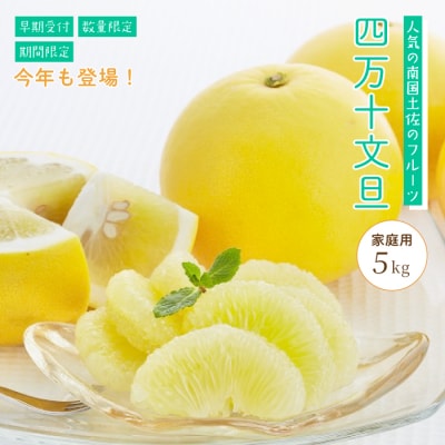 【期間・数量限定】太陽をたっぷり浴びた四万十文旦5kg(家庭用)配送:2026年2月下旬～3月上旬