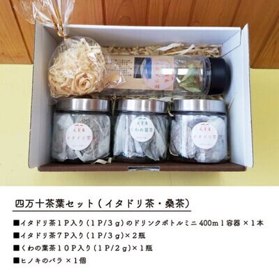 【数量限定】すっきり爽やか!四万十茶葉セット(イタドリ茶・桑茶) 26-814