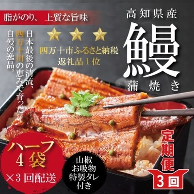 【定期便】高知県産うなぎ蒲焼ハーフ4袋+お吸物付き/BC 【連続3回お届け】