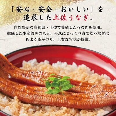 【定期便】高知県産うなぎ蒲焼ハーフ4袋+お吸物付き/BC 【連続3回お届け】