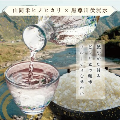 【数量限定】【生酒】純米吟醸山間米酒「やま」一升 26
