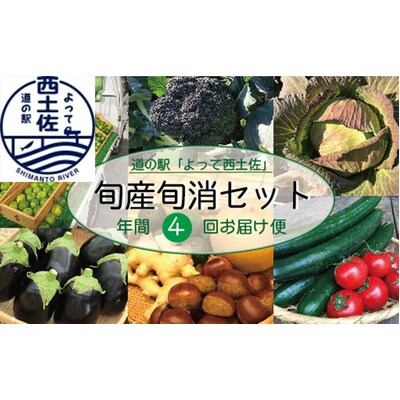 [年4回定期便]道の駅「よって西土佐」旬産旬消セット