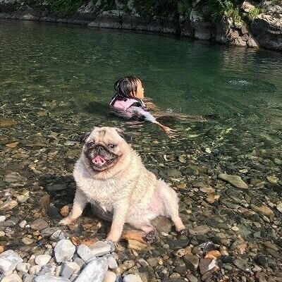 WAN LIFEのおすすめセット<ペットフード>