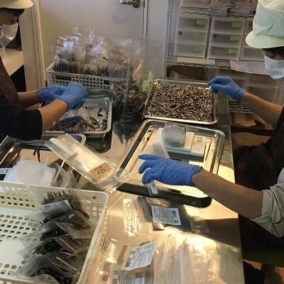シニア犬おすすめセット<ペットフード>