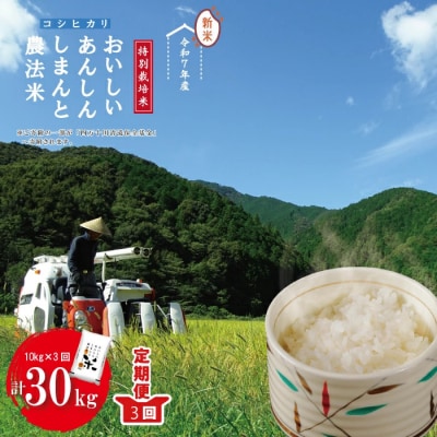 【令和7年産・3回定期便】しまんと農法米(コシヒカリ)10kg(5kg×2袋)×3回(計30kg