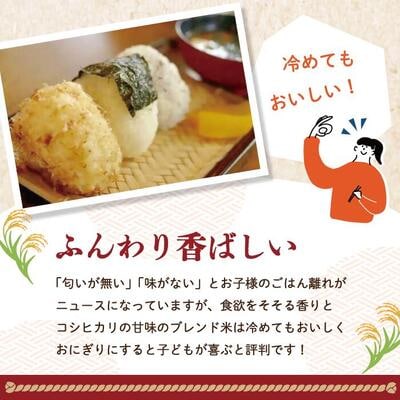 【令和7年産新米・早期受付】香り米入りブレンド米「四万十のかおり」10kg【R7年10月より配送】