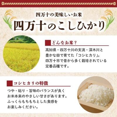 【令和7年産新米】四万十のこしひかり5kg【2025年9月より順次配送】