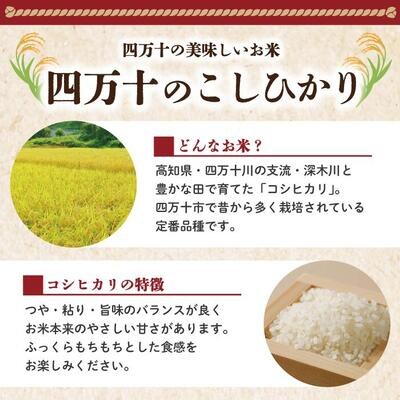 【令和7年産新米】四万十のこしひかり10kg (5kg×2袋)【2025年9月より順次配送】