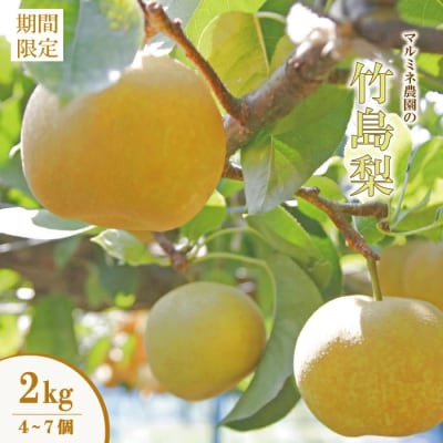 【数量限定・早期受付】マルミネ農園の竹島梨2kg(4～7個)【2025年8月中旬～9月下旬発送】