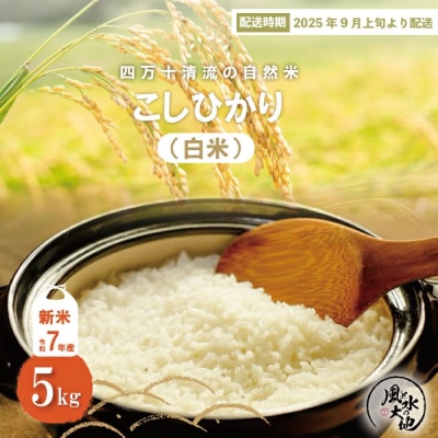 【令和7年産新米・早期受付】四万十清流の自然米　白米5kg( コシヒカリ)2025年9月より順次配送