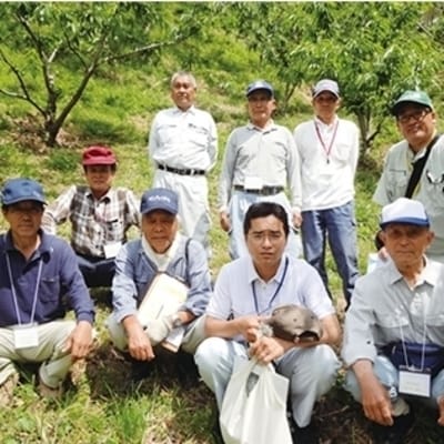 【期間・数量限定】新栗!贅沢四万十栗(3Lサイズ生栗)約1kg【2025年10月上旬～発送】