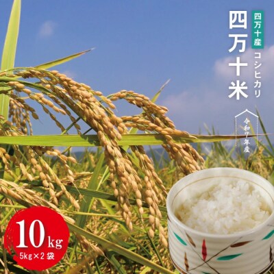 【令和7年産】四万十産 四万十米(コシヒカリ)10kg(5kg×2袋)R7