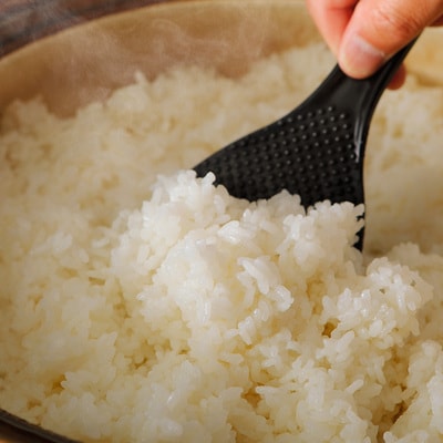 【令和7年産】四万十産 四万十米(コシヒカリ)10kg(5kg×2袋)