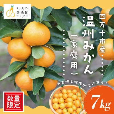 【数量限定】旬の味覚/甘みと酸味が溶け合う!ジューシーな四万十市産・温州みかん7kg(家庭用) 25