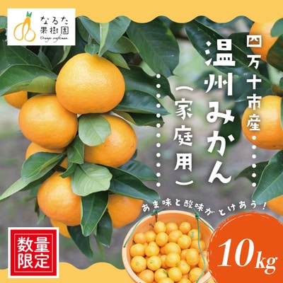 【数量限定】ジューシーな四万十市産・温州みかん10kg(家庭用) 配送:2025年10月～11月末